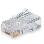 PLUG RETE RJ45 50PZ (SN21401)